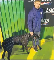  ?? Limerick Greyhound Stadium) (Pic: courtesy ?? A rather shy looking ‘Kildare’, through to the 2022 Con and Annie Kirby Memorial final for owner Aidan Comerford, trainer Peter Cronin and the nominated club, Galtee Gaels GAA.