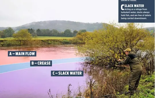  ??  ?? AUnlike chub, barbel are well equipped for holding station tight to the bottom in heavy flows – but they expend a lot of energy in doing so.
bThe crease line, where the main flow meets slower water, is a highly productive area to target both chub and barbel in floods.
cActing as a refuge from turbulent water, slacks always hold fish, and are free of debris being carried downstream. MAiN flow creAse slAck wAter
