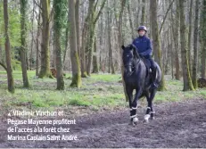  ?? ?? Vladimir Vinchon et Pégase Mayenne profitent de l’accès à la forêt chez Marina Caplain Saint André.