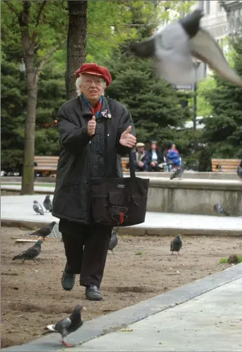  ?? JOHN RENNISON, SPECTATOR FILE PHOTO ?? Other cities had bylaws against feeding pigeons on public property. But Bernice Price, seen shooing away the birds in Gore Park 15 years ago, convinced Hamilton to take the battle to our backyards.