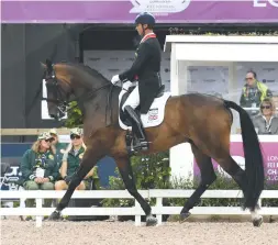  ??  ?? Carl Hester is concerned about some of the proposals