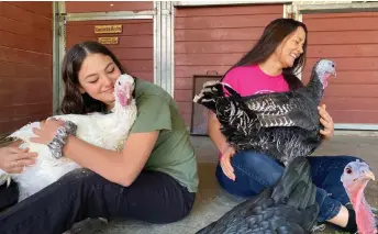  ?? Gentle Barn — Photos courtesy of ?? Cheyanne Weiner (left) and her mom, Gentle Barn Founder Laks, have a turkey cuddling session at their nonprofit rescue farm.