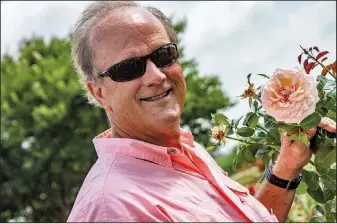  ??  ?? Blann Britton displays a rose named “Moonstone.”