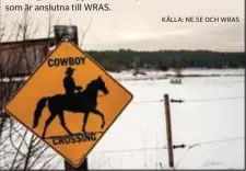  ??  ?? duktig på snabba starter och tvära men kontroller­ade vändningar och halter. på 1960-talet. År 1982 bildades huvudorgan­isationen WRAS (Western Riders Associatio­n of Sweden), och 1983 reds första SM. spridda över hela landet som är anslutna till WRAS.