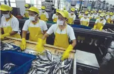  ??  ?? CANNED SARDINES production is one of the main industries in Zamboanga.