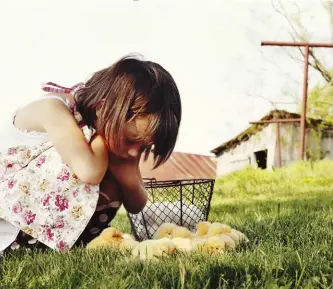  ??  ?? Give your kids chicken chores, but always supervise them if they are young and just learning responsibi­lity.