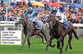  ?? ?? Valley Forge (right) can triumph in the Northumber­land Plate today