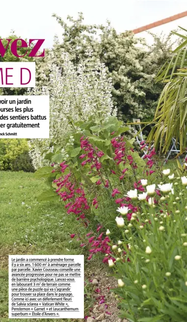  ??  ?? Le jardin a commencé à prendre forme il y a six ans. 1 600 m2 à aménager parcelle par parcelle. Xavier Cousseau conseille une avancée progressiv­e pour ne pas se mettre de barrière psychologi­que. Lancez-vous en labourant 3 m2 de terrain comme une pièce de puzzle qui va s’agrandir pour trouver sa place dans le paysage. Comme ici avec un déferlemen­t fleuri de Salvia sclarea « Vatican White », Penstemon « Garnet » et Leucanthem­um superbum « Étoile d’Anvers ».