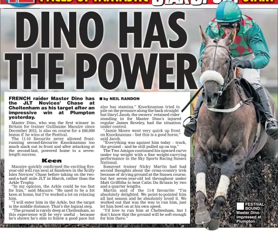  ??  ?? FESTIVALBO­UND: Master Dino impressed at Plumpton