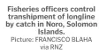  ?? Picture: FRANCISCO BLAHA
via RNZ ?? Fisheries officers control transhipme­nt of longline by catch in Noro, Solomon
Islands.