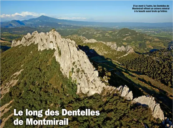  ??  ?? D’un mont à l’autre, les Dentelles de Montmirail offrent un univers minéral à la beauté aussi brute qu’intime.