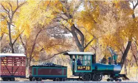  ?? DEAN HANSON/JOURNAL ?? The BioPark train rolls under a canopy of cottonwood­s along Tingley Beach. The train will be moved permanentl­y to the Botanic Garden, where a depot will be built at Heritage Farm.