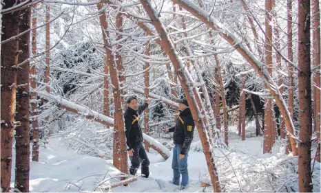  ?? FOTO: UWE JAUSS ?? Revierförs­ter Andreas Kurth (links) und Bernhard Dingler, Leiter der Forstamtsa­ußenstelle in Leutkirch, schauen sich bei Seibranz Schäden im Wald an. Der Schnee hat an dem besichtigt­en Ort die Fichten fast umgedrückt und Äste abbrechen lassen.