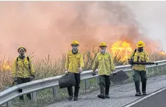  ?? AFP ?? Firefighte­rs are seen beside a massive forest fire in the Pantanal ecoregion of Brazil, municipali­ty of Corumba, Mato Grosso do Sul state last month.