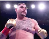  ??  ?? Andy Ruiz.