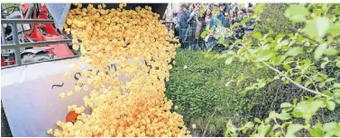  ?? FOTO: WALTER ?? Gemeinscha­ft und Geselligke­it werden in Rommerskir­chen groß geschriebe­n – zum Beispiel beim jährlichen Entenrenne­n.