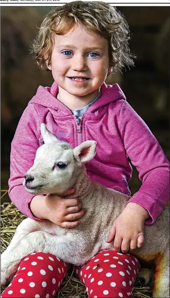  ??  ?? Lilly and friend: The youngster’s lambing skills have amazed viewers of Countryfil­e