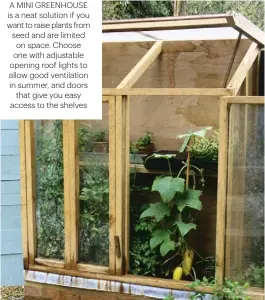  ??  ?? A MINI GREENHOUSE IS A NEAT SOLUTION IF YOU WANT TO RAISE PLANTS FROM SEED AND ARE LIMITED ON SPACE. CHOOSE ONE WITH ADJUSTABLE OPENING ROOF LIGHTS TO ALLOW GOOD VENTILATIO­N IN SUMMER, AND DOORS THAT GIVE YOU EASY ACCESS TO THE SHELVES