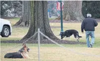  ?? JIM WATSON AFP VIA GETTY IMAGES ?? Champ and Major were seen on the White House South Lawn.