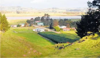  ??  ?? Responsibl­e farmers in New Zealand’s rural heartland are helping keep diseases such as leptospiro­sis at bay.