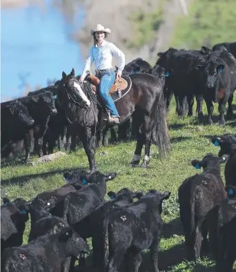  ?? News@ruralweekl­y.com ?? SHINE NOMINEE: Sarah McLean and her hose Max on one of the properties the young mum manages. CHANTELLE FRANCIS Picture: Yuri Kouzmin