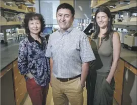  ?? Kristyna Wentz-Graff Oregon Health and Science University ?? HONG MA, left, study leader Shoukhrat Mitalipov, center, and Nuria MartiGutie­rrez helped write a new report on the process known as “germ-line editing.”