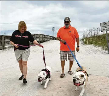  ?? HYOSUB SHIN / HYOSUB.SHIN@AJC.COM ?? Georgia fan Donna Nesmith with her dog Georgia and her husband (and Florida fan) Ash Ahsanuddin with his dog Tebow walk their dogs Friday at Jacksonvil­le Beach, Florida.