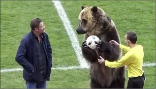  ??  ?? A performing Russian bear at a soccer match last week.