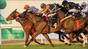  ?? — ABU DHABI EQUESTRIAN CLUB ?? Fall Of Rome (centre) wins the Mussafah Bridge handicap.