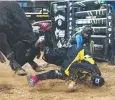  ??  ?? SNAP: Brendan Radke’s photo of New Zealand bull rider Merv Church falling from Road Rage