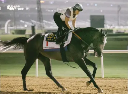  ??  ?? GETTING ACCLIMATIS­ED. Arrogate takes a canter around the Meydan dirt track ahead of Saturday’s $10-million Dubai World Cup over 2000m.