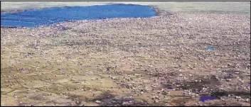  ?? The Associated Press ?? An aerial photo by the U.S. Fish and Wildlife Service shows a herd of caribou on the Arctic National Wildlife Refuge in northeast Alaska.