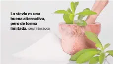  ??  ?? La stevia es una buena alternativ­a, pero de forma limitada.