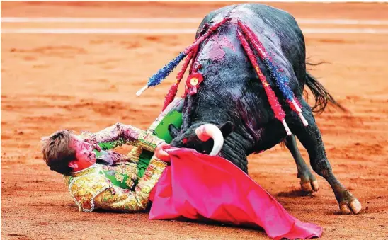  ?? ARJONA/LANCES DE FUTURO ?? Eduardo Dávila Miura fue cogido de manera muy aparatosa por el primer toro de la tarde, ayer en Santander