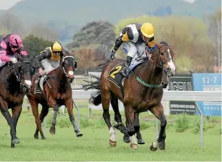  ?? TRISH DUNELL ?? Ginner Hart could upset the favourites in the $200,000 Makfi Challenge Stakes at Hastings tomorrow.