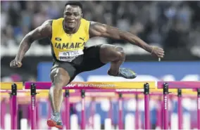 ?? (Photo: AFP) ?? MCLEOD...WINS the men’s 60m hurdles in 7.53 seconds