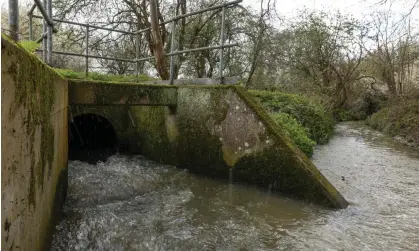  ?? Photograph: Dan Kitwood/Getty ?? Sewage being discharged into a brook from a nearby treatment works run by Thames Water in April 2023 after heavy rainfall.