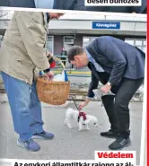  ?? ?? Védelem Az egykori államtitká­r rajong az állatokért, azt szeretné, ha a főváros jobban részt venne a védelmükbe­n