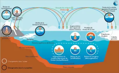  ??  ?? Les composants clés des systèmes océaniques et de la cryosphère* et leur évolution dans le contexte de changement climatique
Source : IPCC, SROCC, 2019, Chapitre 1 (© ocean-climate.org)