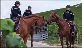  ??  ?? Trois cavaliers de la garde républicai­ne surveillen­t les vignes, derrière Aÿ.