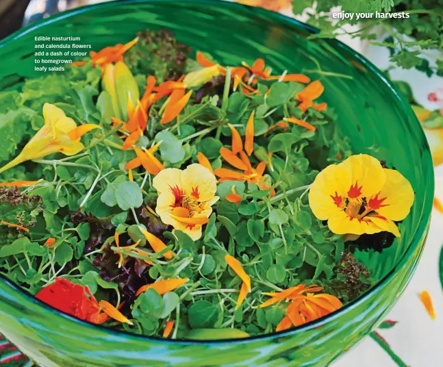  ??  ?? Edible nasturtium and calendula flowers add a dash of colour to homegrown leafy salads