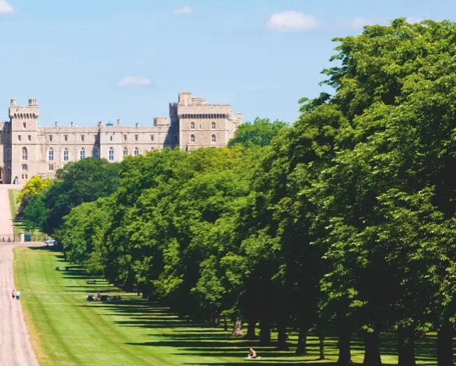  ??  ?? ‘An art in naturalnes­s that is especially English’: The Long Walk at Windsor Castle, Charles II’S emphatic royal avenue