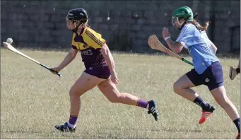  ??  ?? Wexford’s Shauna Sinnott racing away from Emma Flanagan of Dublin.