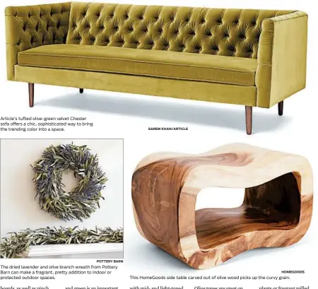  ?? POTTERY BARN SAREM KHAN/ARTICLE HOMEGOODS ?? Article’s tufted olive-green velvet Chester sofa offers a chic, sophistica­ted way to bring the trending color into a space. The dried lavender and olive branch wreath from Pottery Barn can make a fragrant, pretty addition to indoor or protected outdoor...