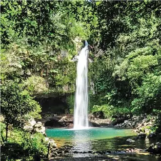  ??  ?? Tavoro Waterfalls in Taveuni.