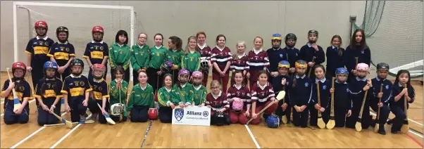  ??  ?? The group of camogie players from schools in North Wicklow who competed in the indoor hurling anc camogie blitz at Shoreline in Greystones last week.