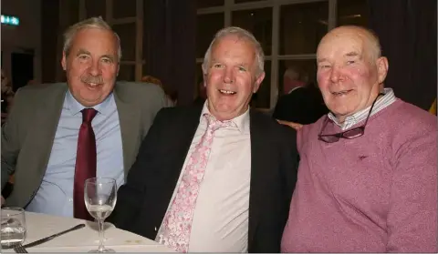  ??  ?? Seamus Whelan, Tom Miller and Frank Corley at the the retired Garda Christmas party in Ferrycarri­g Hotel on Friday night.