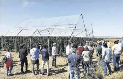  ?? UAGA ?? Una grupo de productore­s sudamerica­nos visitando ayer plantacion­es frutícolas en el Bajo Cinca (Huesca).