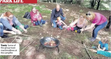  ??  ?? Tasty Some of the group toast marshmallo­ws at the campfire