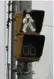  ??  ?? A spotlight either above or below the walk/don’t walk signal would help to better see pedestrian­s at night.